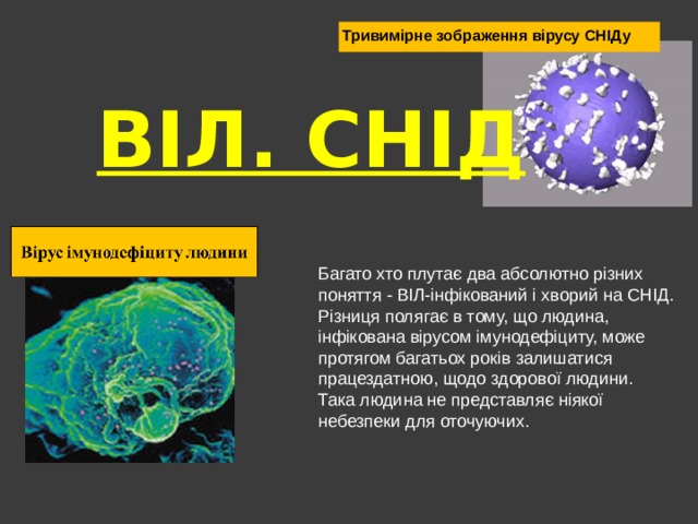 Тривимірне зображення вірусу СНІДу ВІЛ. СНІД Багато хто плутає два абсолютно різних поняття - ВІЛ-інфікований і хворий на СНІД. Різниця полягає в тому, що людина, інфікована вірусом імунодефіциту, може протягом багатьох років залишатися працездатною, щодо здорової людини. Така людина не представляє ніякої небезпеки для оточуючих. 