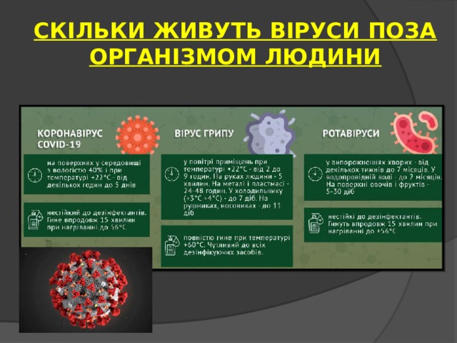СКІЛЬКИ ЖИВУТЬ ВІРУСИ ПОЗА ОРГАНІЗМОМ ЛЮДИНИ 