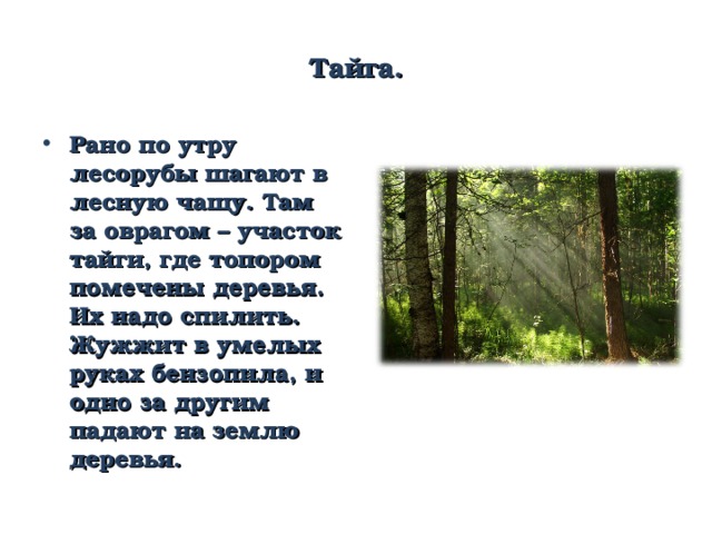 Тайга. Рано по утру лесорубы шагают в лесную чащу. Там за оврагом – участок тайги, где топором помечены деревья. Их надо спилить. Жужжит в умелых руках бензопила, и одно за другим падают на землю деревья. 