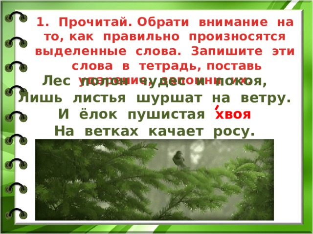 1. Прочитай. Обрати внимание на то, как правильно произносятся выделенные слова. Запишите эти слова в тетрадь, поставь ударение, запомни их. Лес полон чудес и покоя, Лишь листья шуршат на ветру. И ёлок пушистая хвоя На ветках качает росу. 