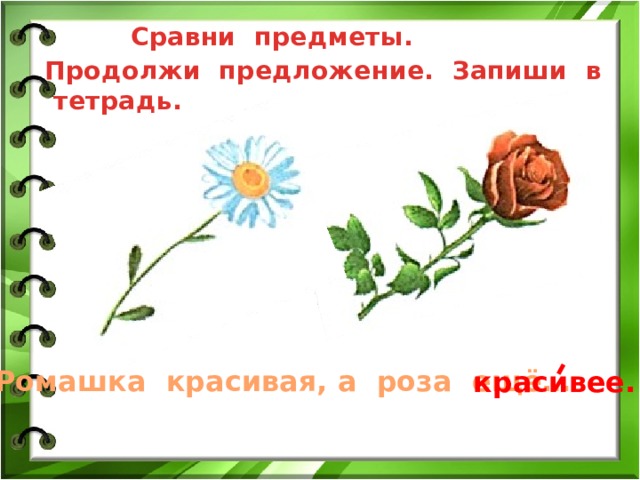  Сравни предметы.  Продолжи предложение. Запиши в тетрадь. Ромашка красивая, а роза ещё… красивее. 