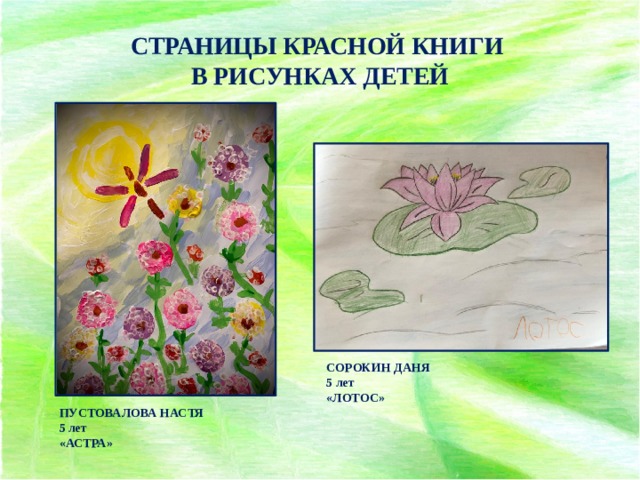 Красная книга рисунки детей