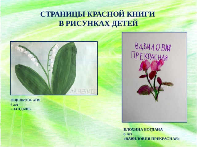 Растения красной книги для детей