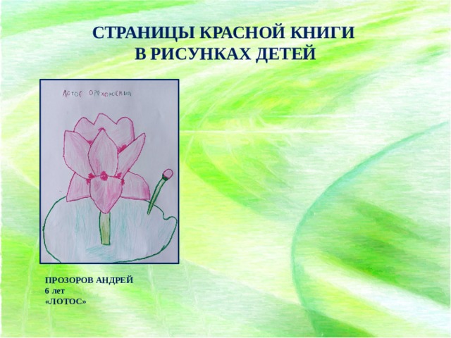 Красная книга рисунки детей