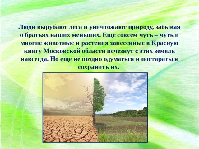 Люди вырубают леса и уничтожают природу, забывая о братьях наших меньших. Еще совсем чуть – чуть и многие животные и растения занесенные в Красную книгу Московской области исчезнут с этих земель навсегда. Но еще не поздно одуматься и постараться сохранить их. 