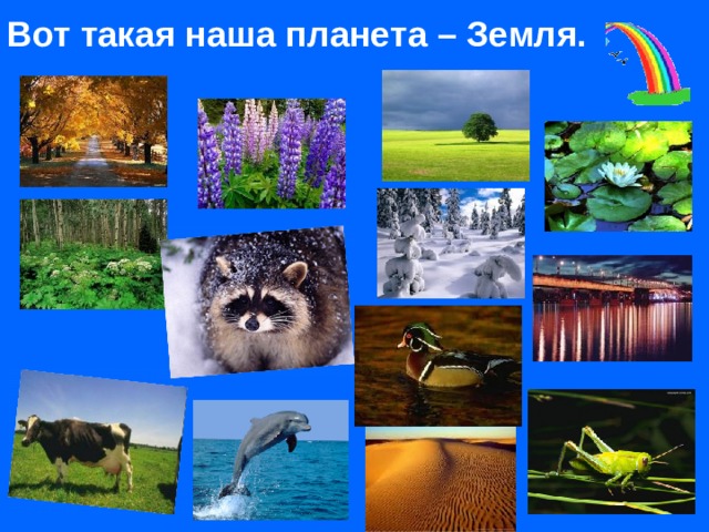 Вот такая наша планета – Земля. 