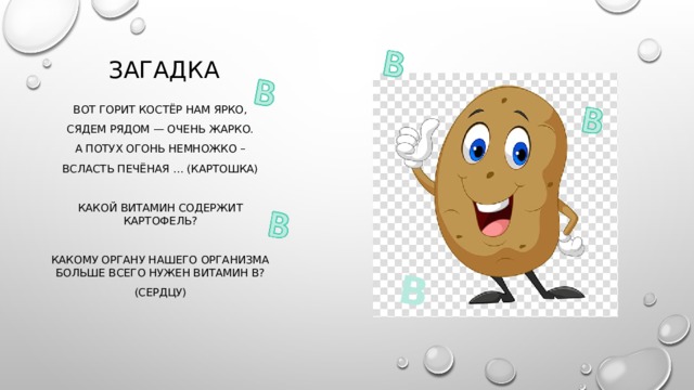 В загадка Вот горит костёр нам ярко, Сядем рядом — очень жарко. А потух огонь немножко – Всласть печёная … (картошка) Какой витамин содержит картофель? Какому органу нашего организма больше всего нужен витамин в? (сердцу) 
