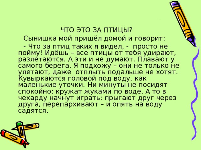 ЧТО ЭТО ЗА ПТИЦЫ?  Сынишка мой пришёл домой и говорит:  - Что за птиц таких я видел, - просто не пойму! Идёшь – все птицы от тебя удирают, разлетаются. А эти и не думают. Плавают у самого берега. Я подхожу – они не только не улетают, даже отплыть подальше не хотят. Кувыркаются головой под воду, как маленькие уточки. Ни минуты не посидят спокойно: кружат жуками по воде. А то в чехарду начнут играть: прыгают друг через друга, перепархивают – и опять на воду садятся. 