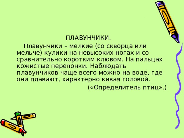 ПЛАВУНЧИКИ.  Плавунчики – мелкие (со скворца или мельче) кулики на невысоких ногах и со сравнительно коротким клювом. На пальцах кожистые перепонки. Наблюдать плавунчиков чаще всего можно на воде, где они плавают, характерно кивая головой. («Определитель птиц».) 