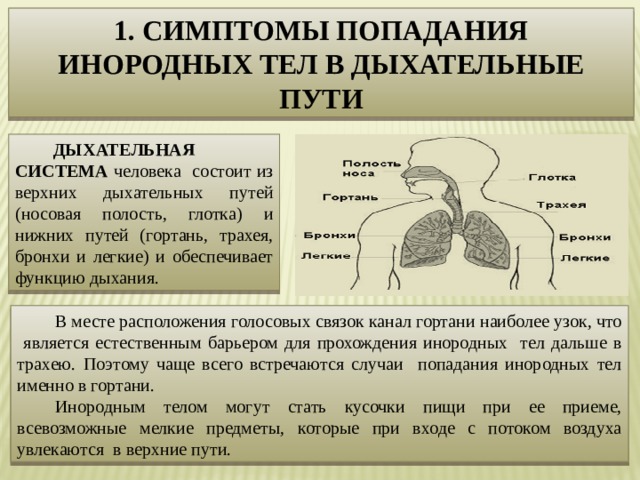 Инородные тела дыхательных путей причины. Симптомы аопадания инородного ТЕЛАВ дыхательные пути. Инородное тело в дыхательных путях симптомы. Верхняя дыхательная система человека. Признаки инородного тела в дыхательных путях.