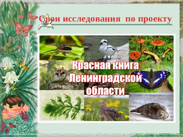 Красная книга ленинградской области с картинками