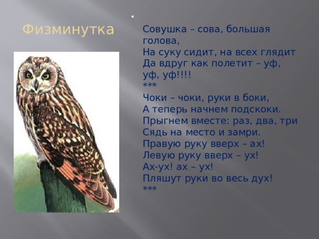 Физминутка    Совушка – сова, большая голова,  На суку сидит, на всех глядит  Да вдруг как полетит – уф, уф, уф!!!!  ***  Чоки – чоки, руки в боки,  А теперь начнем подскоки.  Прыгнем вместе: раз, два, три  Сядь на место и замри.  Правую руку вверх – ах!  Левую руку вверх – ух!  Ах-ух! ах – ух!  Пляшут руки во весь дух!  *** 