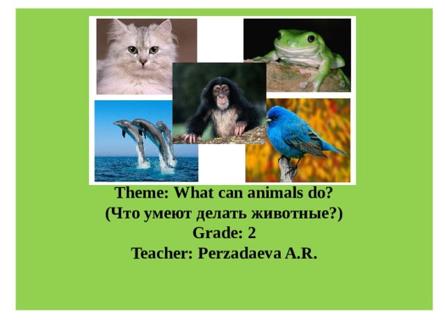      Theme: What can animals do?  (Что умеют делать животные?)  Grade: 2  Teacher: Perzadaeva A.R.      
