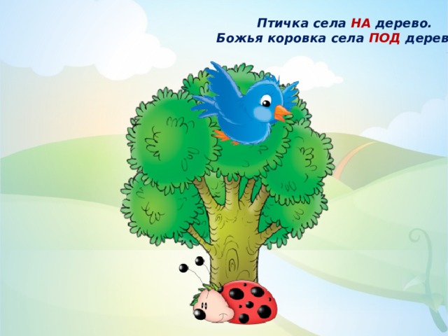 Птичка села НА дерево. Божья коровка села ПОД деревом. 