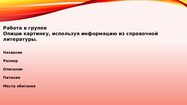 Работа в группе Опиши картинку, используя информацию из справочной литературы. Название  Размер  Описание  Питание  Места обитания 