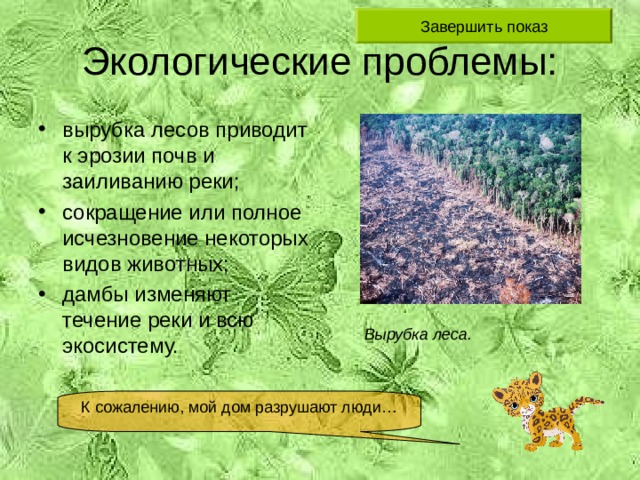вырубка лесов приводит к эрозии почв и заиливанию реки; сокращение или полное исчезновение некоторых видов животных; дамбы изменяют течение реки и всю экосистему. Вырубка леса. 