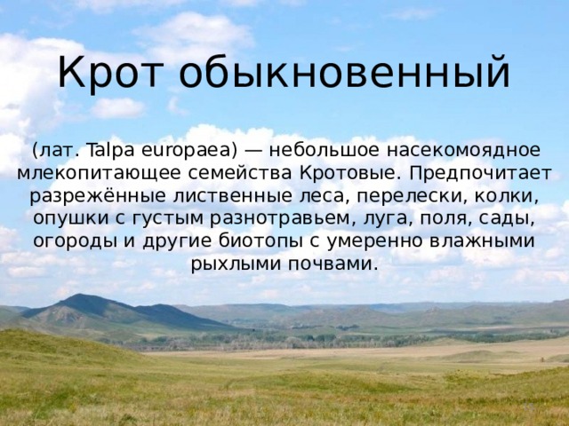 Крот обыкновенный   (лат. Talpa europaea) — небольшое насекомоядное млекопитающее семейства Кротовые. Предпочитает разрежённые лиственные леса, перелески, колки, опушки с густым разнотравьем, луга, поля, сады, огороды и другие биотопы с умеренно влажными рыхлыми почвами.  