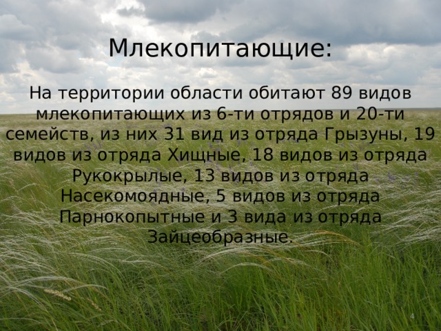 Млекопитающие:  На территории области обитают 89 видов млекопитающих из 6-ти отрядов и 20-ти семейств, из них 31 вид из отряда Грызуны, 19 видов из отряда Хищные, 18 видов из отряда Рукокрылые, 13 видов из отряда Насекомоядные, 5 видов из отряда Парнокопытные и 3 вида из отряда Зайцеобразные.  