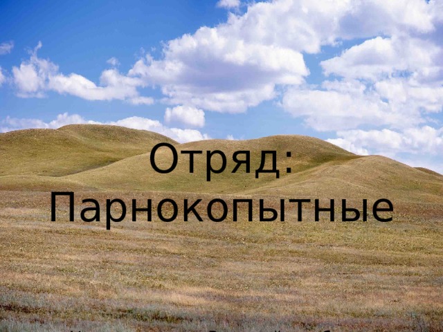 Отряд: Парнокопытные На следующих 3-х слайдах будут представлены некоторые животные из отряда Парнокопытные  