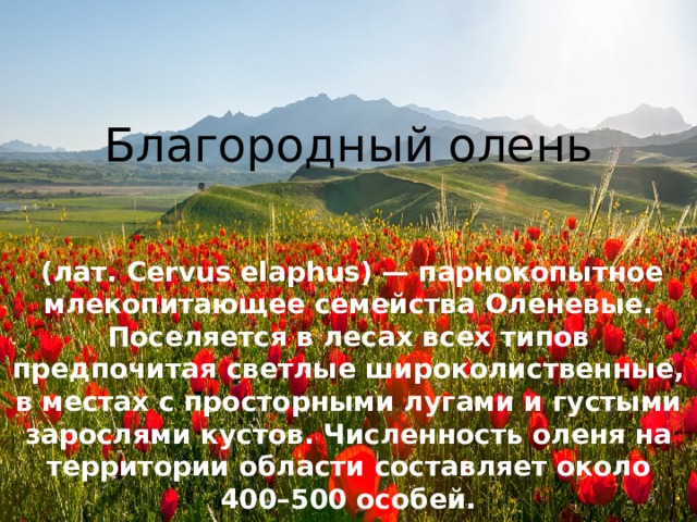 Благородный олень      (лат. Cervus elaphus) — парнокопытное млекопитающее семейства Оленевые. Поселяется в лесах всех типов предпочитая светлые широколиственные, в местах с просторными лугами и густыми зарослями кустов. Численность оленя на территории области составляет около 400–500 особей.  