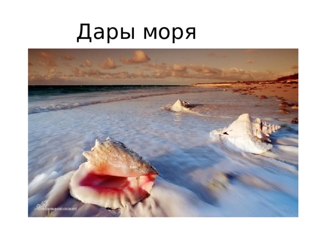 Дары моря 