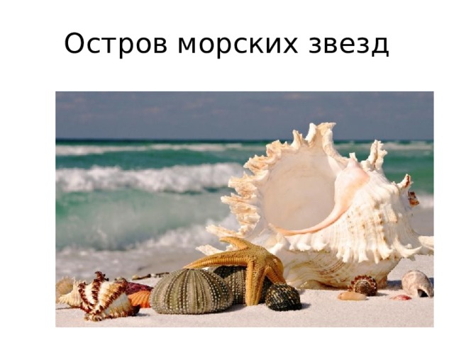 Остров морских звезд 