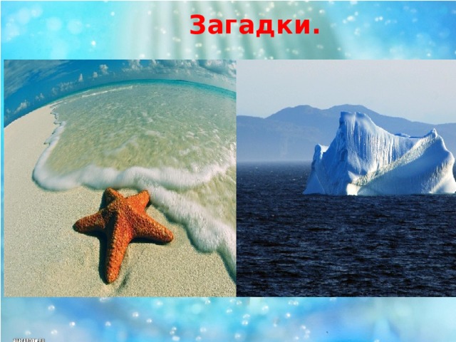 Загадки.  