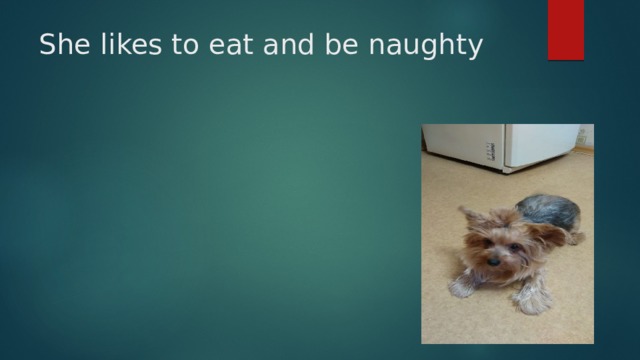 She likes to eat and be naughty 