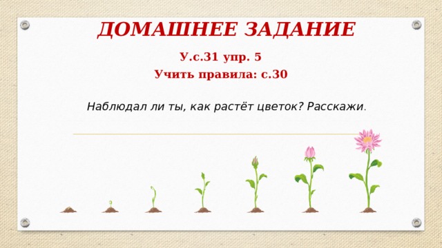 ДОМАШНЕЕ ЗАДАНИЕ У.с.31 упр. 5 Учить правила: с.30 Наблюдал ли ты, как растёт цветок? Расскажи . 