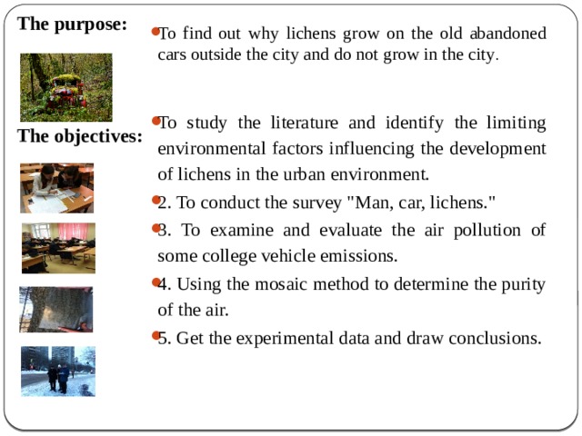 The purpose:    The objectives: To find out why lichens grow on the old abandoned cars outside the city and do not grow in the city . To study the literature and identify the limiting environmental factors influencing the development of lichens in the urban environment. 2. To conduct the survey 