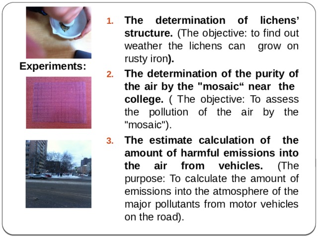 The determination of lichens’ structure. (The objective: to find out weather the lichens can grow on rusty iron ). The determination of the purity of the air by the 