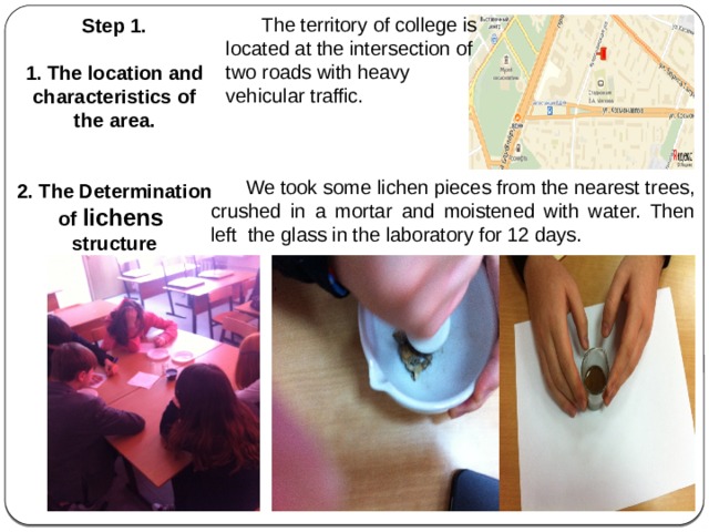  The territory of college is located at the intersection of two roads with heavy vehicular traffic. Step 1.  1. The location and characteristics of the area.   2. The Determination of lichens structure  We  took some lichen pieces from the nearest trees, crushed in a mortar and moistened with water. Then left the glass in the laboratory for 12 days. 
