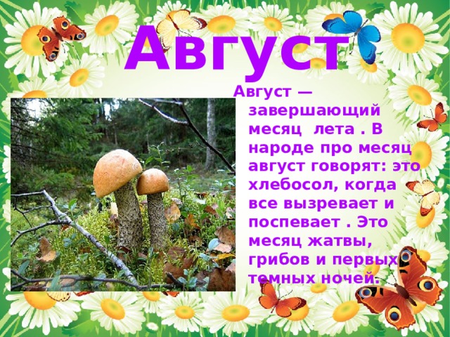 Август Август — завершающий месяц лета . В народе про месяц август говорят: это хлебосол, когда все вызревает и поспевает . Это месяц жатвы, грибов и первых темных ночей. 