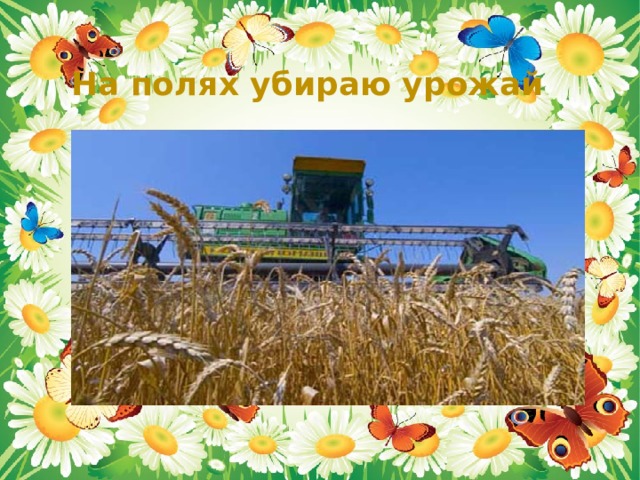 На полях убираю урожай 