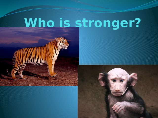 Who is stronger? 