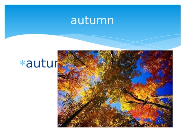 autumn autumn 
