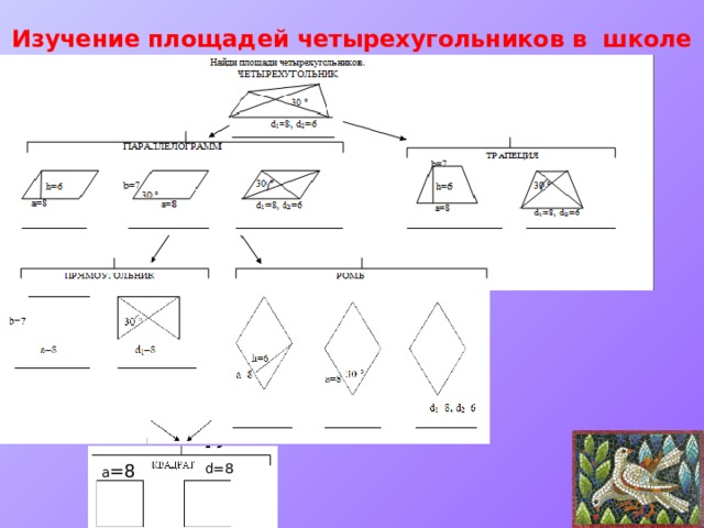 Площадь исследования