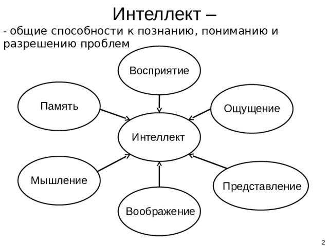 Способы развития интеллекта. Способности интеллект ощущение и восприятие. Общий интеллект. Способы развить интеллект. Общие способности.