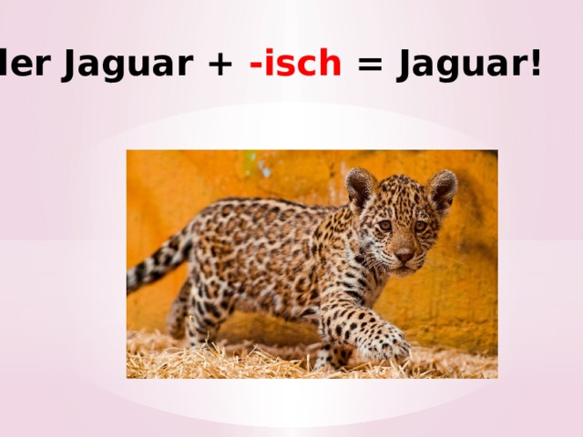 der Jaguar + -isch =  Jaguar! 