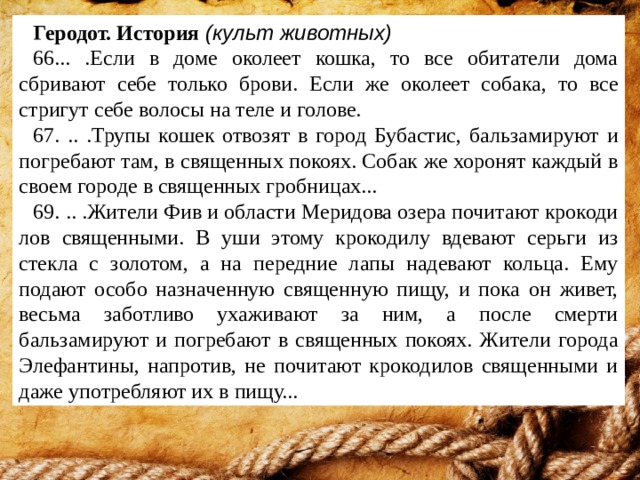 Геродот. История (культ животных) 66... .Если в доме околеет кошка, то все обитатели дома сбривают себе только брови. Если же околеет собака, то все стригут себе волосы на теле и голове. 67. .. .Трупы кошек отвозят в город Бубастис, бальзамируют и по­гребают там, в священных покоях. Собак же хоронят каждый в своем городе в священных гробницах... 69. .. .Жители Фив и области Меридова озера почитают крокоди­лов священными. В уши этому крокодилу вдевают серьги из стекла с золотом, а на передние лапы надевают кольца. Ему подают особо назначенную священную пищу, и пока он живет, весьма заботливо ухаживают за ним, а после смерти бальзамируют и погребают в свя­щенных покоях. Жители города Элефантины, напротив, не почитают крокодилов священными и даже употребляют их в пищу... 