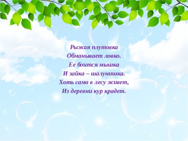  Рыжая плутовка Обманывает ловко. Ее боится мышка И зайка – шалунишка. Хоть сама в лесу живет, Из деревни кур крадет. 