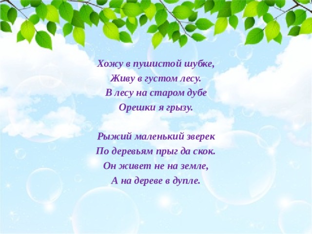 Лежала между елками подушечка. Загадка лежала между елками подушечка с иголками тихонечко. Лежала под елками подушечка с иголками. Елочка тихонечко жила на свете тихонечко в лесу. Сочинение елочка тихонечко жила на свете тихонечко в лесу.