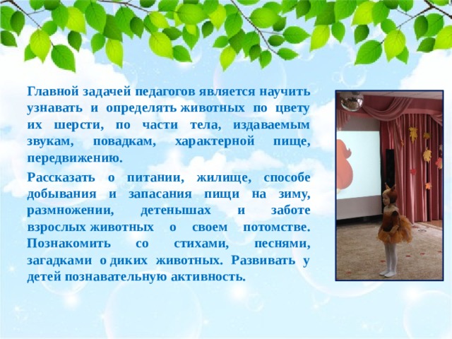 Главной задачей педагогов является научить узнавать и определять животных по цвету их шерсти, по части тела, издаваемым звукам, повадкам, характерной пище, передвижению. Рассказать о питании, жилище, способе добывания и запасания пищи на зиму, размножении, детенышах и заботе взрослых животных о своем потомстве. Познакомить со стихами, песнями, загадками о диких животных. Развивать у детей познавательную активность. 