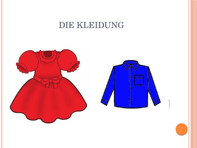  Die Kleidung 