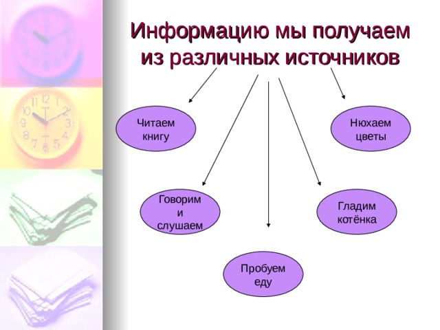 Информацию мы получаем из различных источников Читаем книгу Нюхаем цветы Говорим и слушаем Гладим котёнка Пробуем еду