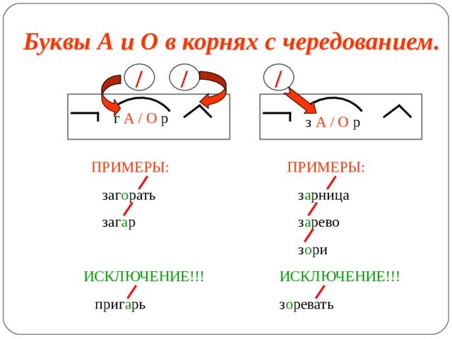 Буквы А и О в корнях с чередованием. / / / г А / О р з А / О р ПРИМЕРЫ: ПРИМЕРЫ:  з а рница  з а рево  з о ри  заг о рать  заг а р ИСКЛЮЧЕНИЕ!!! ИСКЛЮЧЕНИЕ!!!  приг а рь з о ревать