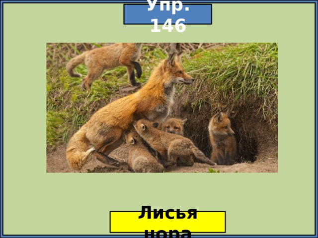 Упр. 146 Лисья нора 