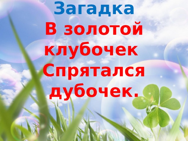 Загадка  В золотой клубочек  Спрятался дубочек.   
