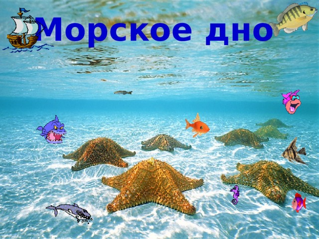 Морское дно 