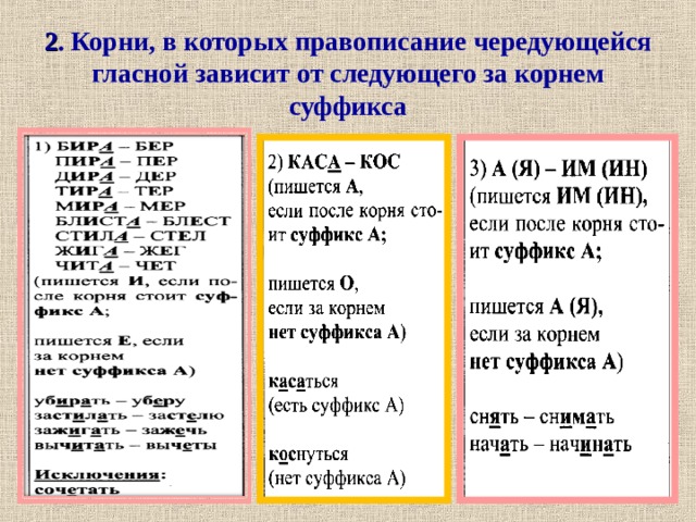    2 . Корни, в которых правописание чередующейся гласной зависит от следующего за корнем суффикса   